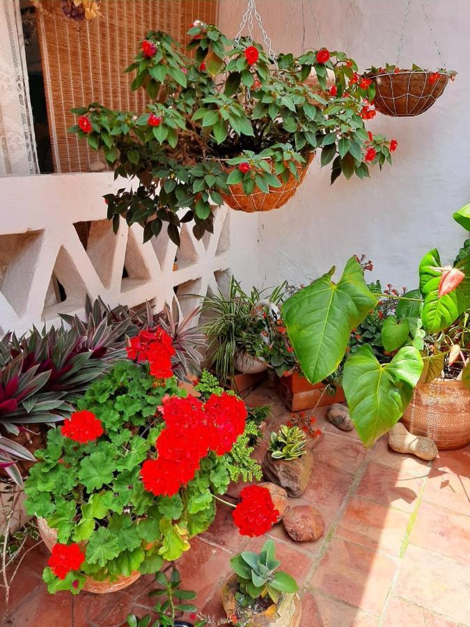 Mi Ranchito, Centro Hotel Баричара Екстериор снимка